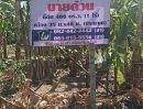 - ขาย ที่ดินถมแล้ว 1 ไร่ ใกล้สวนหลวง ร. 9, ห้างพาราไดซ์, รถไฟฟ้า, รพ.สินแพทย์ เพียง 3-5 นาที ราคาดีที่สุดในย่านนี้ !!
