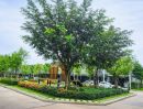  - ด่านเก็บเงินบ้านทับช้าง 200 ม. 29 ตร.วา. รามคำแหง กาญจนาภิเษก พระราม9 มิสทีน ทาวน์โฮม 3 นอน 2 น้ำ
