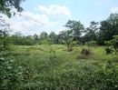  - ขายที่ดินสวย ทำเลดี บรรยากาศร่มรื่น เหมาะสำหรับสร้างบ้านพักอาศัย ทำสวน หรือซื้อเก็บไว้เก็งกำไรในอนาคต