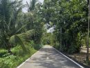  - ขายที่ดินสวย ทำเลดี บรรยากาศร่มรื่น เหมาะสำหรับสร้างบ้านพักอาศัย ทำสวน หรือซื้อเก็บไว้เก็งกำไรในอนาคต