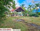 - ที่ดินเมืองชัยภูมิ 158 ตร.ว. ชัยภูมิ ใกล้โรงพยาบาลส่งเสริมสุขภาพตำบลบุ่งคล้า