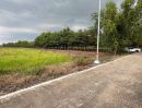 - ขายถูก #ที่ดินคลอง11 ปทุมธานี 1 ไร่ 342 ตร.ว 2 ล้านบาทเท่านั้น