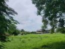 - ขายที่ดินในโครงการเวิลด์คลับแลนด์หนองควายหางดงโฉนด