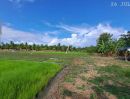 - ขายด่วนร้อนเงิน ที่นาติดทางหลวงชนบท บ้านป่ารกฟ้า ต.น้ำดิบ อ.ป่าซาง จ.ลำพูน