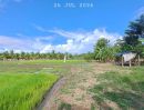 - ขายด่วนร้อนเงิน ที่นาติดทางหลวงชนบท บ้านป่ารกฟ้า ต.น้ำดิบ อ.ป่าซาง จ.ลำพูน