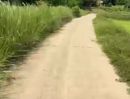- ที่ดินถูก โฉนด ไร่ละสี่หมื่นกว่าบาทเท่านั้น อ.ท่าปลา อุตรดิตถ์