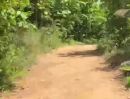 - ที่ดินถูก โฉนด ไร่ละสี่หมื่นกว่าบาทเท่านั้น อ.ท่าปลา อุตรดิตถ์