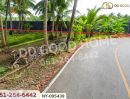 - ที่ดินดำเนินสะดวก 1 ไร่ 252.6 ตร.ว. ราชบุรี ใกล้ตลาดน้ำดำเนินสะดวก