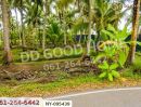 - ที่ดินดำเนินสะดวก 1 ไร่ 252.6 ตร.ว. ราชบุรี ใกล้ตลาดน้ำดำเนินสะดวก