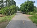 - ขาย ที่ดิน 24 ไร่ จ. พระนครศรีอยุธยา ไร่ละ 300,000 บ. ต. บ้านขวาง ต. น้ำเต้า อ. มหาราช (ใกล้ แยกเจ้าปลุก ,ถ.ทางหลวง 3267 อ่างทอง - ท่าเรือ)