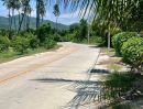 - ขายด่วน ที่ดินเปล่า 93 ตร.ว. หนองข้างคอก เมืองชลบุรี ราคาเพียง 1.39 ล้านบาท ติดถนนสาธารณะ 3 ด้าน