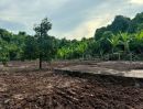 - โอกาสพิเศษ ที่ดินริมน้ำนครนายก เกือบ 2 ไร่ ปรับราคาลงเหลือ 4.5 ล้านบาท