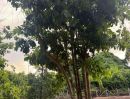- โอกาสพิเศษ ที่ดินริมน้ำนครนายก เกือบ 2 ไร่ ปรับราคาลงเหลือ 4.5 ล้านบาท