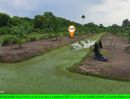 - ที่ดินริมแม่น้ำท่าจีน ใกล้วัดอ่างทอง ต.บางยาง อ.กระทุ่มแบน จ.สมุทรสาคร