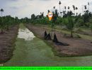 - ที่ดินริมแม่น้ำท่าจีน ใกล้วัดอ่างทอง ต.บางยาง อ.กระทุ่มแบน จ.สมุทรสาคร