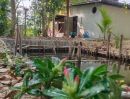 - ขายถูกมาก!! บ้านสวน ขนาด 168 ตร.ว. พร้อมบ่อน้ำ ทำเลดี อ.หางดง เชียงใหม่ ใกล้บิ๊กซี โรงเรียนนานาชาติฯ
