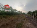 - ที่ดินถมแล้ว ติดถนนคลอง 10 เนื้อที่ 93 ไร่ ถนนรังสิต-นครนายก ตำบลบึงกาสาม อำเภอหนองเสือ จังหวัดปทุมธานี