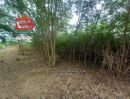 - ที่ดินถมแล้ว ติดถนนคลอง 10 เนื้อที่ 93 ไร่ ถนนรังสิต-นครนายก ตำบลบึงกาสาม อำเภอหนองเสือ จังหวัดปทุมธานี