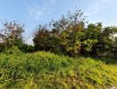 - ขายที่ดินถมแล้ว 399 ตร.ว. หลังติดทะเลสาบ ในสนามกอล์ฟไพน์เฮิร์สท คลองหลวง ปทุมธานี ใกล้ ม.กรุงเทพ-ธรรมศาสตร์