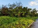 - ขายที่ดินถมแล้ว 399 ตร.ว. หลังติดทะเลสาบ ในสนามกอล์ฟไพน์เฮิร์สท คลองหลวง ปทุมธานี ใกล้ ม.กรุงเทพ-ธรรมศาสตร์