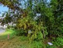 - ขายที่ดินถมแล้ว 399 ตร.ว. หลังติดทะเลสาบ ในสนามกอล์ฟไพน์เฮิร์สท คลองหลวง ปทุมธานี ใกล้ ม.กรุงเทพ-ธรรมศาสตร์