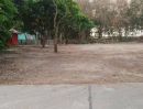 - ให้เช่าที่ดิน 2งาน ซอย13 สาย15 มีไฟฟ้า มีน้ำ เหมาะมาก ตู้ออฟฟิศ ลานจอด