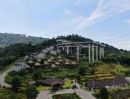 - ายบ้านพร้อมที่ดิน 142 ตร.วา พังงา ติดถนนใหญ่ ตรงข้าม Beyond Skywalk นางชี | ยกแปลง 3.9 ล้าน