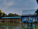 - ที่ดิน ริมน้ำ คลองบางช้าง พร้อมสิ่งปลูกสร้าง 7ไร่+ สามพราน นครปฐม