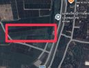 - ที่ดินติดคลองชลประทาน ดินดี น้ำดี มีน้ำสมบูรณ์ตลอดปี จำนวน 4 ไร่