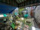- ขายบ้านเดี่ยวชั้นเดียว ซอยพหลโยธิน 48 แยก 35 เนื้อที่ 57 ตร.วา ใกล้ ถ.พหลโยธิน ถ.เทพรักษ์ ถ.รามอินทรา ถ.สายไหม บีทีเอสสายหยุด