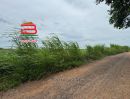  - ที่ดินเปล่า เนื้อที่ 20-1-86 ไร่ ใกล้วัดไก่เตี้ย ถนนสายเอเชีย หมายเลข 32 ตำบลคลองน้อย อำเภอบ้านแพรก พระนครศรีอยุธยา