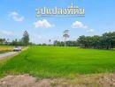 - ขายบ้านพร้อมที่ดิน ทำเลดี ริมแม่น้ำท่าจีน 10 ไร่ ศรีประจันต์ สุพรรณบุรี