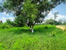 - ที่ดินสวย ทำเลถนนเลียบวารี 1ไร่ เข้าซอยเพียง 120 เมตร
