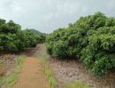 - ขายที่ดิน10 ไร่ พร้อมสวนลำไยและสระน้ำ ทำเลโป่งน้ำร้อน จันทบุรี