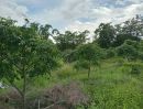 - ขายที่ดิน10 ไร่ พร้อมสวนลำไยและสระน้ำ ทำเลโป่งน้ำร้อน จันทบุรี