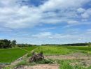 - ขายที่ดินแปลงใหญ่ คลอง 11 หนองเสือ เหมาะทำบ้านสวน เกษตร ราคาเฉลี่ยเพียง 5.8 แสน/ไร่