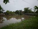 - ขายที่ดิน2ไร่ วิวคลองธรรมชาติ บ้านคู้ฝั่งเหนือ หนองจอก กรุงเทพ