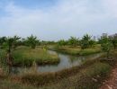 - ขายที่ดินแปลงใหญ่ 64 ไร่ ติดถนนพหลโยธิน อำเภอหนองแค จังหวัดสระบุรี