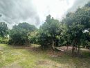 - ขายที่ดินพร้อมสวนลำไย + สวนทุเรียน จ.เชียงใหม่ พร้อมลงทุนต่อ สร้างรายได้ และต่อยอดได้ทันที!
