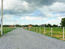 - ที่ดินทำบ้านสวน ทำเลดี วิวภูเขา น้ำไฟเน็ตพร้อม ใกล้ กทม.