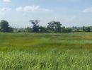 - ขายที่ดินแปลงใหญ่ 216 ไร่ ติดถนนพหลโยธิน อำเภอวังน้อย จ.พระนครศรีอยุธยา