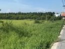 - ขายที่ดินแปลงใหญ่ 216 ไร่ ติดถนนพหลโยธิน อำเภอวังน้อย จ.พระนครศรีอยุธยา