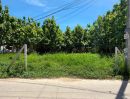 - ขายที่ดินหนองปลาไหล พัทยา แปลงมุม 376 ตรว. ทำเลดีมีศักยภาพ ใกล้หาด2.8กม. อ.บางละมุง ชลบุรี