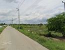 - ขายที่ดินหน้าประดู่ 13 ไร่ ติดถนนลาดยาง ใกล้แยกพานทอง(ถนน3466)-4กม. อ.พานทอง ชลบุรี