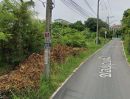 - ขายที่ดินหนองไม้แดง 240 ตรว. ซอยอบต.2000/1หลังสำนักงานขนส่งใกล้ถ.เลี่ยงเมืองชลบุรี361-400เมตร อ.เมืองชลบุรี