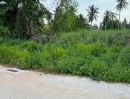 - ขายที่ดินตะเคียนเตี้ย มาบหว้า 1 ไร่ ติดถนนคอนกรีต ใกล้หาดกระทิงลาย5.6กม. อ.บางละมุง จ.ชลบุรี