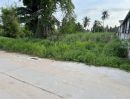 - ขายที่ดินตะเคียนเตี้ย มาบหว้า 1 ไร่ ติดถนนคอนกรีต ใกล้หาดกระทิงลาย5.6กม. อ.บางละมุง จ.ชลบุรี