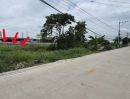 - ขายที่ดิน คลอง9 ถนน รังสิต-นครนายก ขนาด 99 ตร ซอย ศาลเจ้าพ่อดอนใหญ่