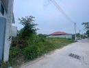 - ขายที่ดินนาป่า ถมแล้ว 80 ตรว. ติดถนนบายพาสซอย2 ใกล้ถนนบายพาส361-300เมตร อ.เมืองชลบุรี