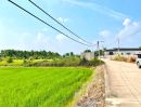 - ขายที่ดินตาขัน 6 ไร่ ติดถนนคอนกรีตซอยโรงเรียนบ้านเก่า ใกล้เซ็นทรัล-10กม. อ.บ้านค่าย ระยอง